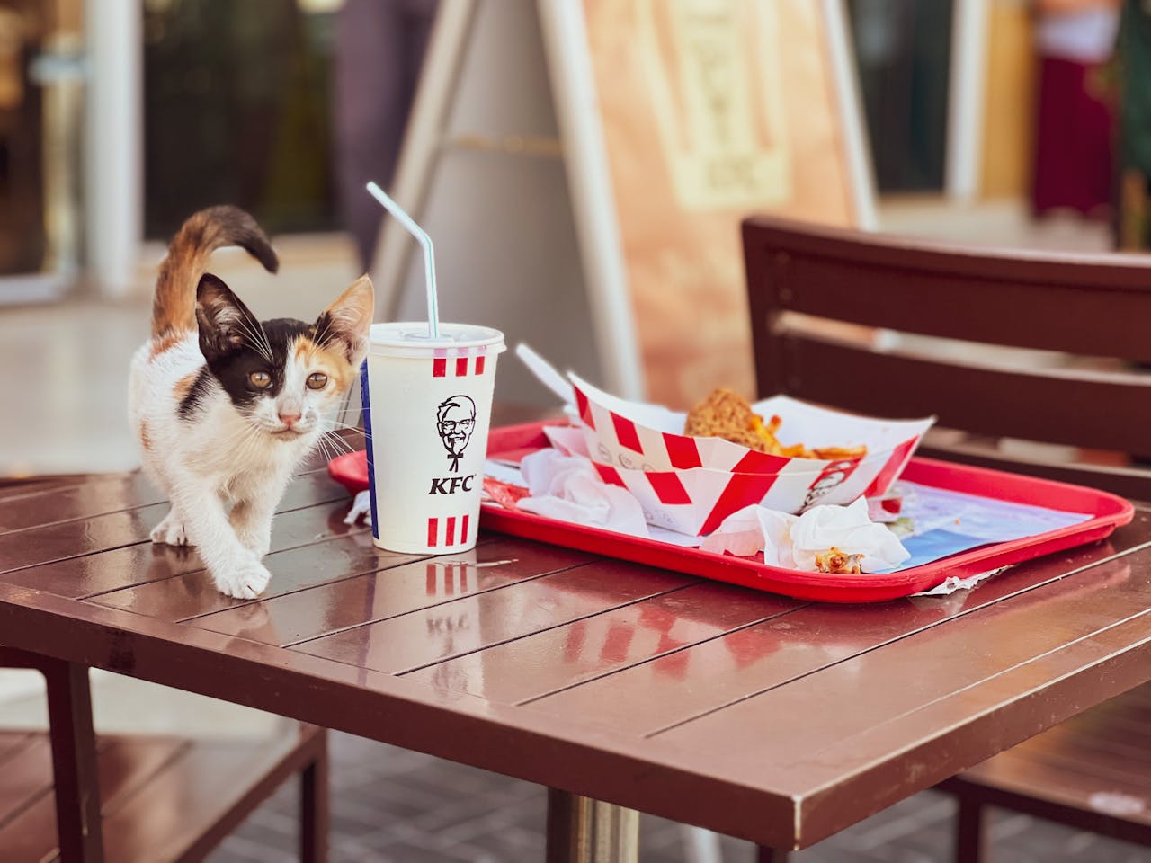 Kariéra s chutí křídel: Zaměstnání a brigáda v KFC